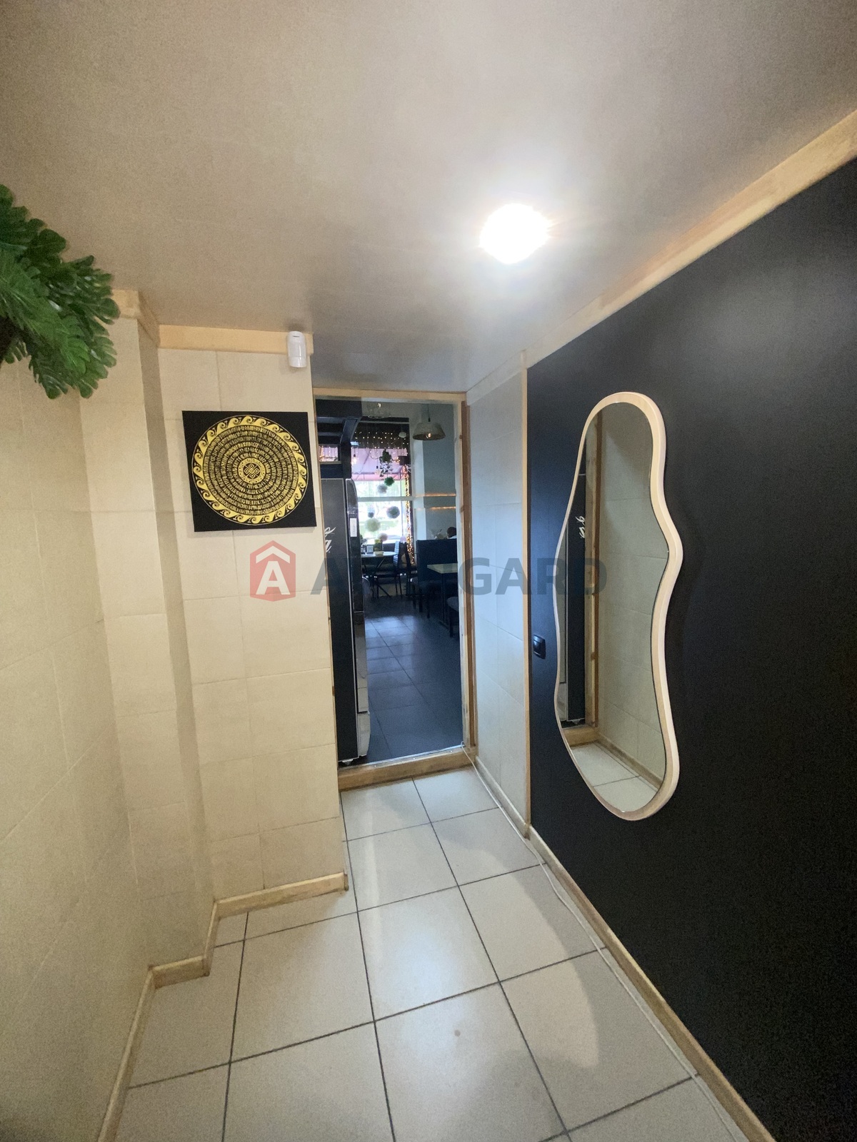 ����, ���, ��������, 62 ��.�. ���� 12