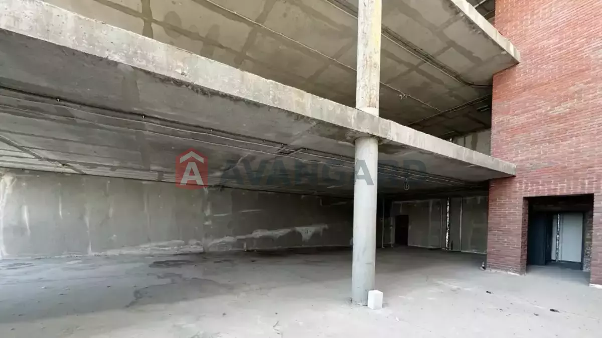 ���������� �����, 1500 ��.�. ���� 1