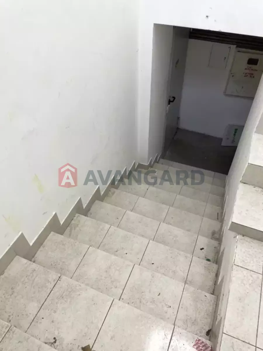 ���������� �����, 232 ��.�. ���� 2
