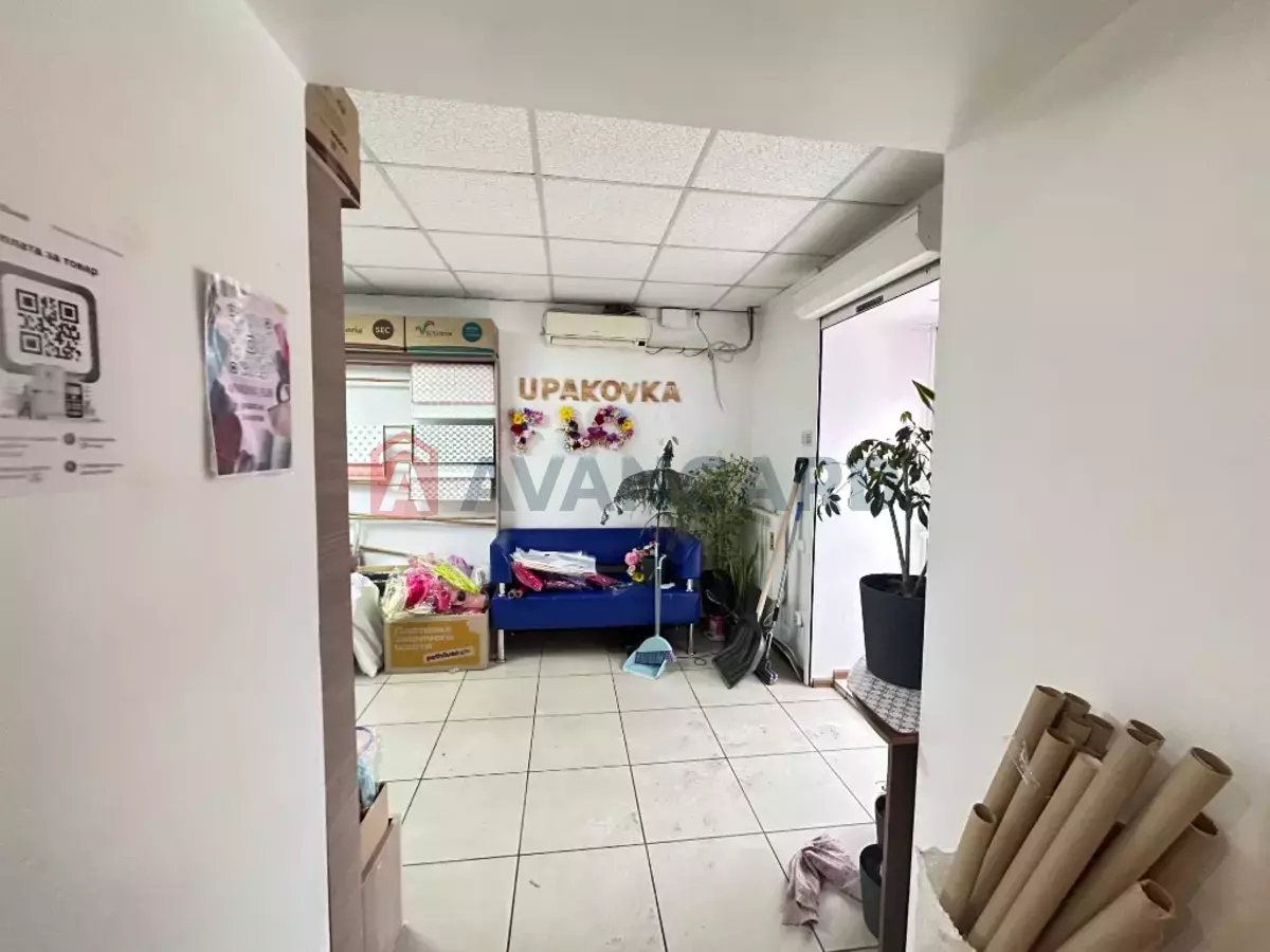 ���������� �����, 77 ��.�. ���� 2