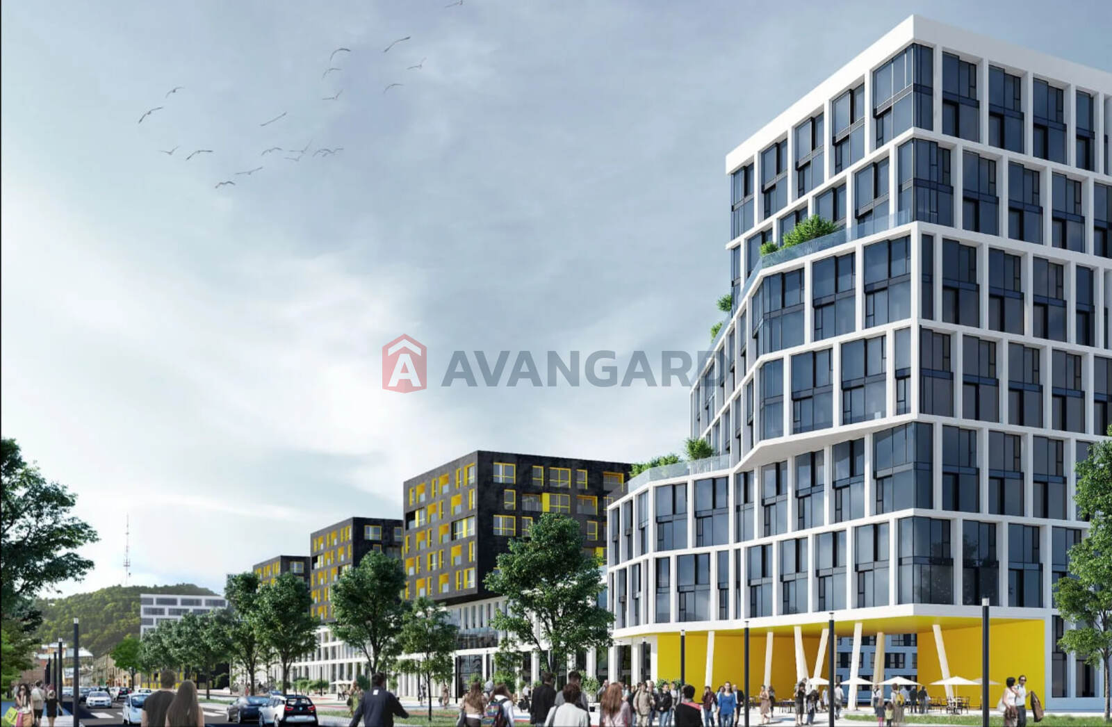 ���������� �����, ����, ���, ��������, ����� ������, 121 ��.�. ���� 8