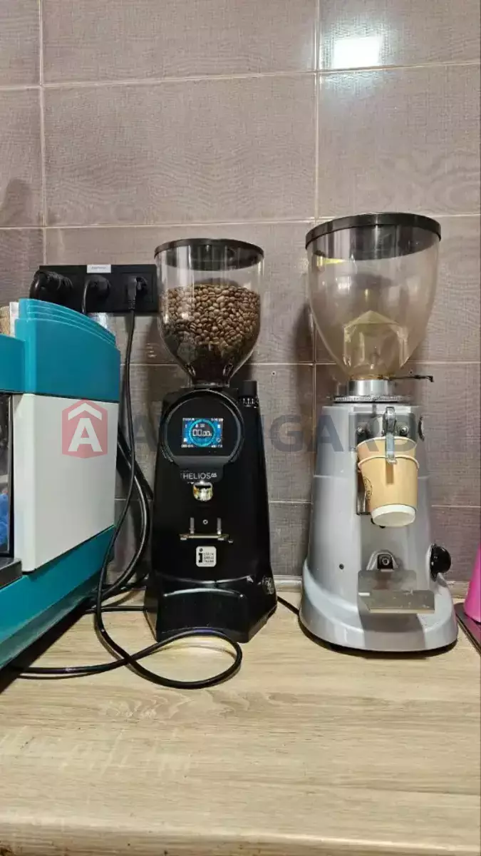 ���������� �����, 41 ��.�. ���� 9