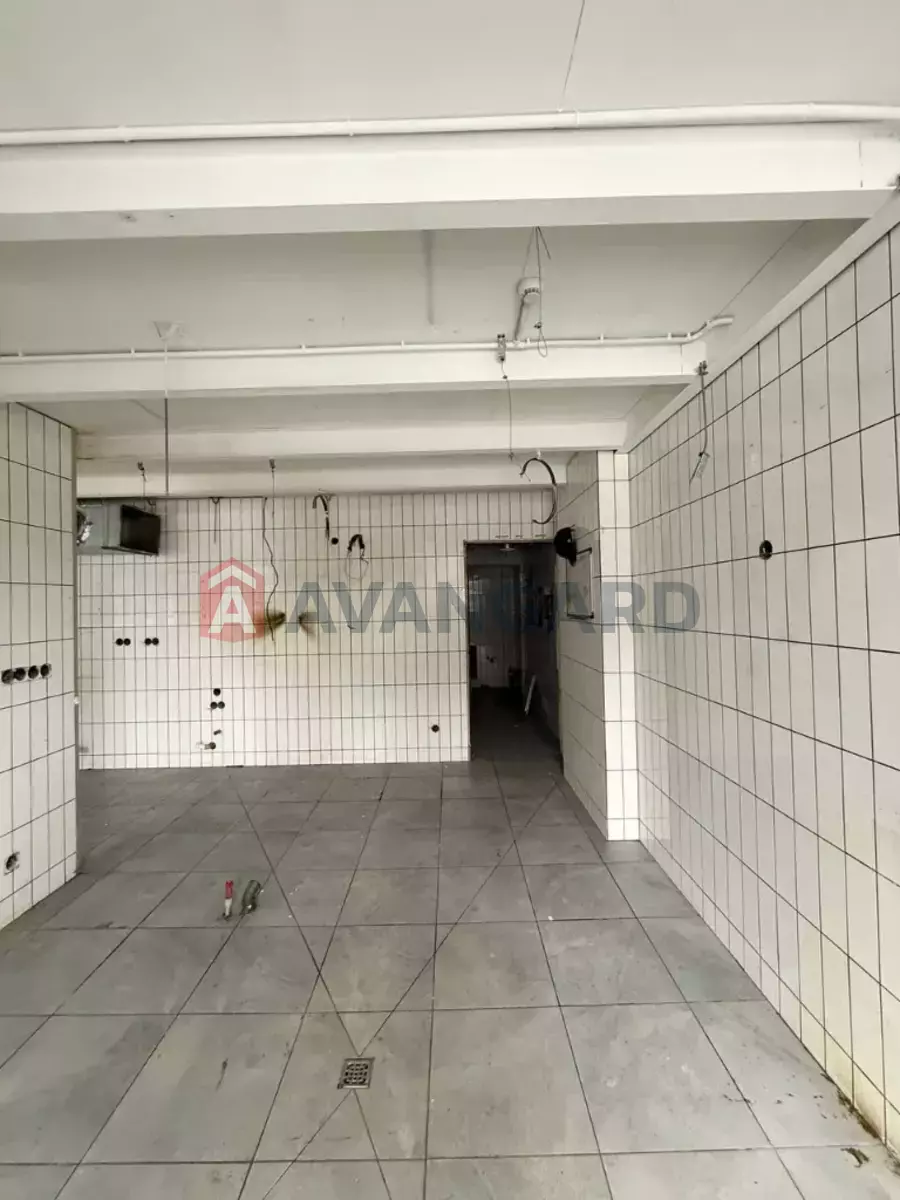 ����, ���, ��������, 210 ��.�. ���� 15