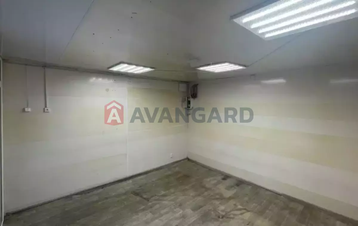 ���������� �����, 16 ��.�. ���� 1