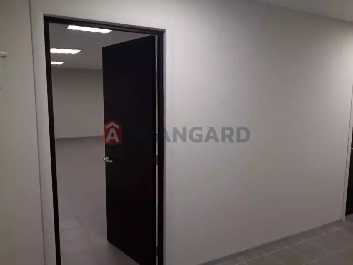 ���������� �����, 66 ��.�. ���� 7