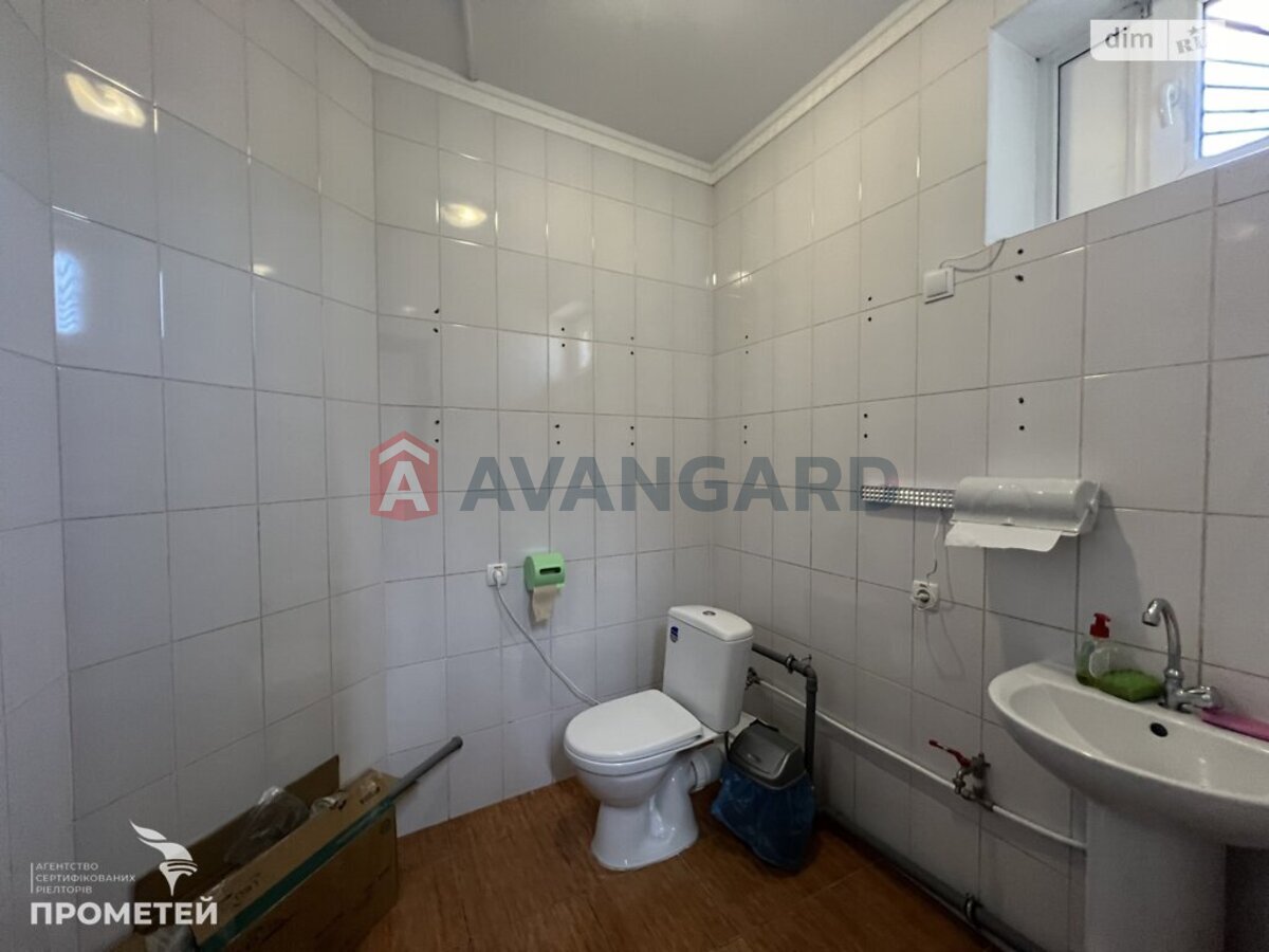 ���������� �����, 245 ��.�. ���� 13