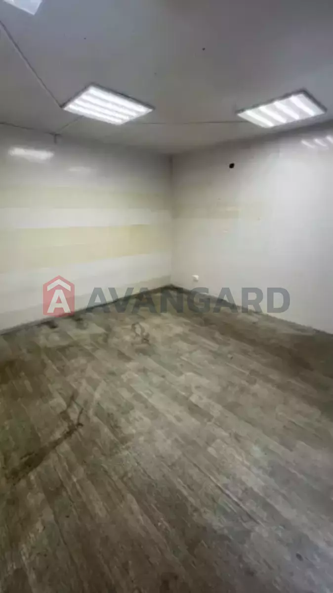 ���������� �����, 16 ��.�. ���� 7