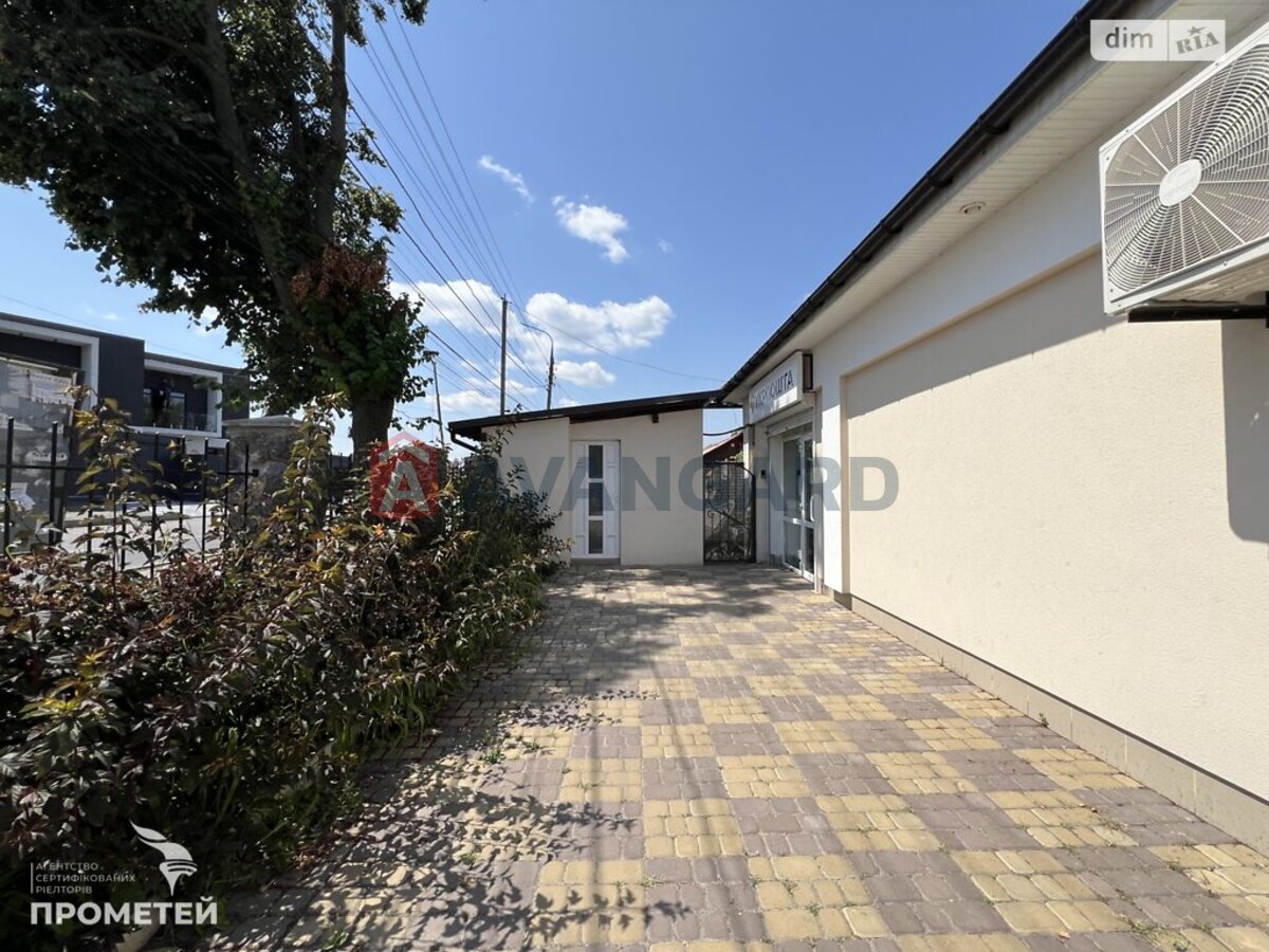 ���������� �����, 245 ��.�. ���� 6