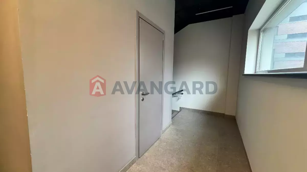 ���������� �����, 3 ��.�. ���� 1