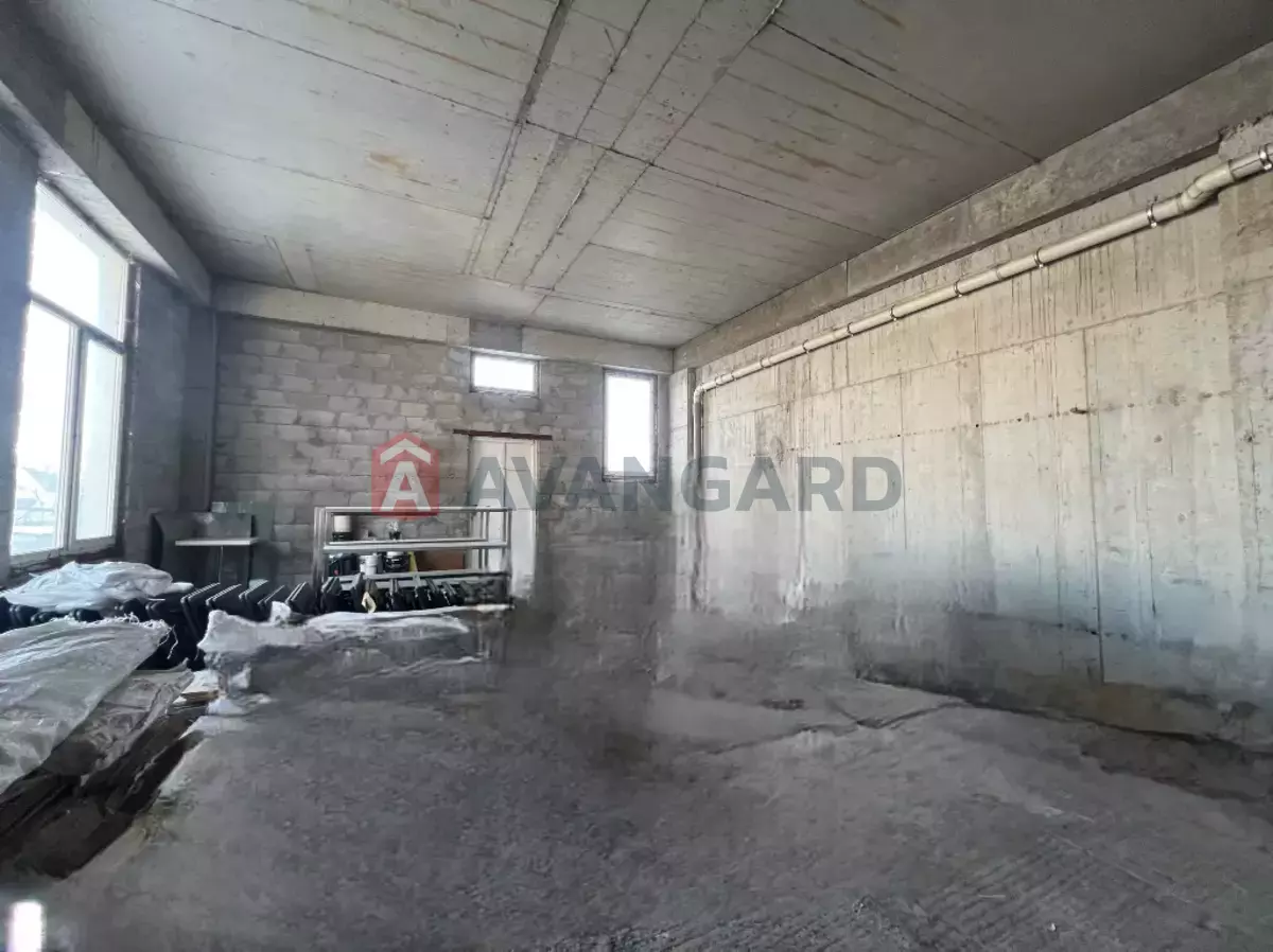 ���������� �����, 1200 ��.�. ���� 4