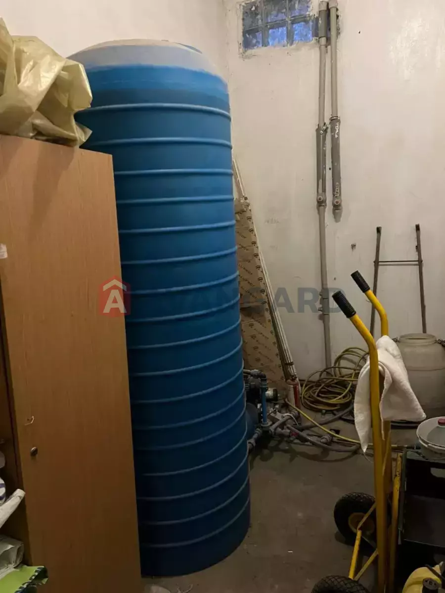���������� �����, 1000 ��.�. ���� 15