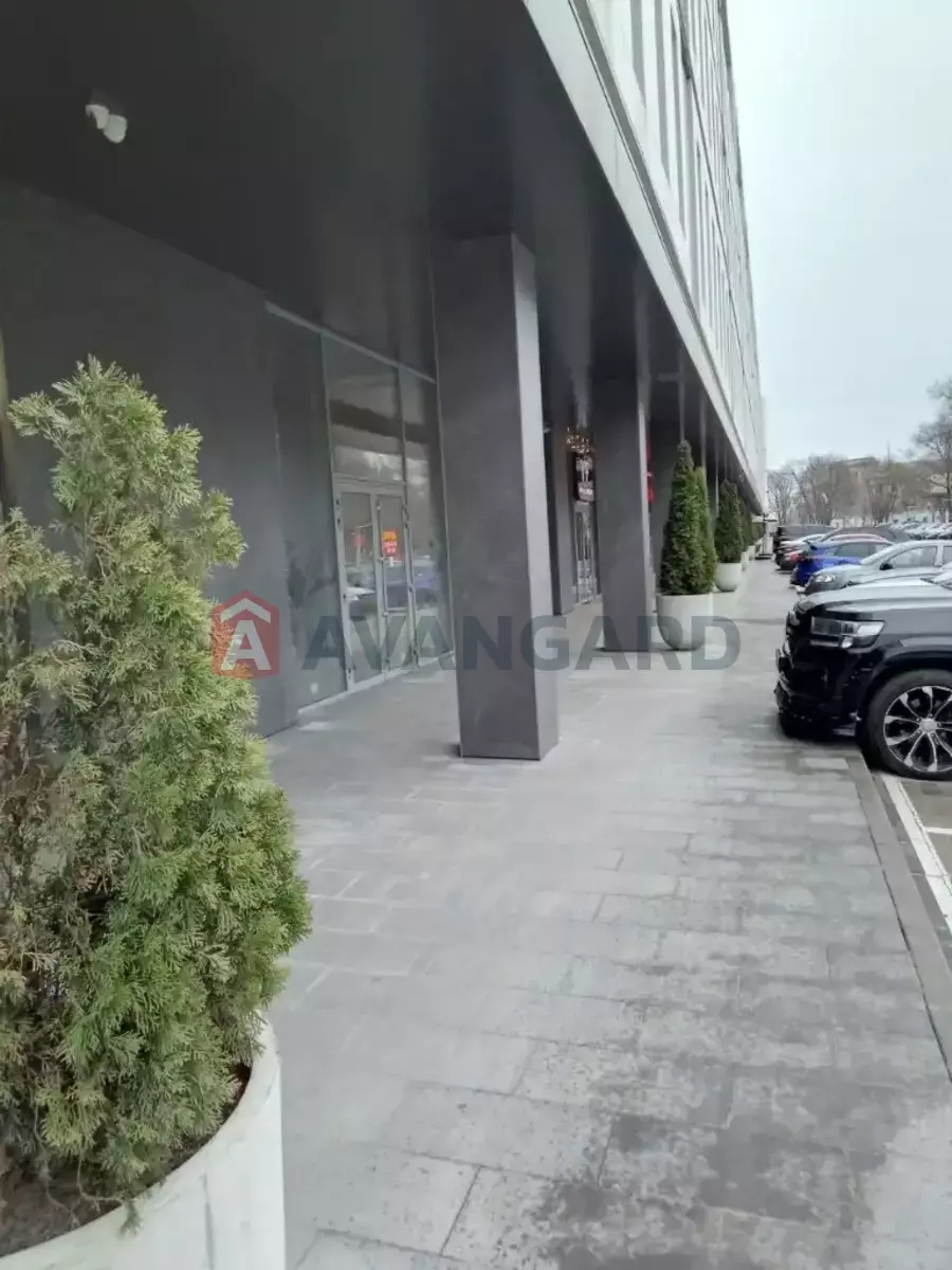 ����, ���, ��������, 160 ��.�. ���� 3