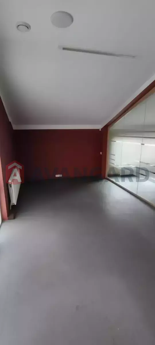 ���������� �����, 225 ��.�. ���� 10