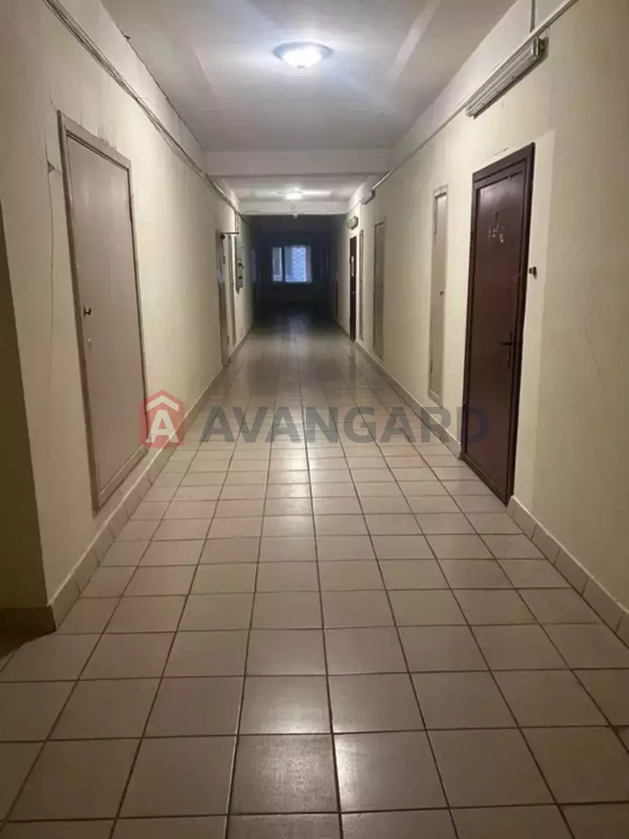 �������� �������, 79 ��.�. ���� 11