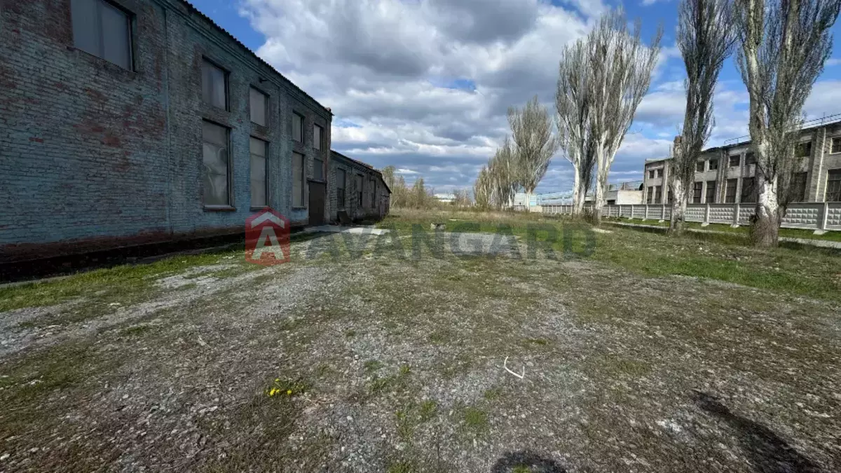 ���������� �����, 325 ��.�. ���� 15