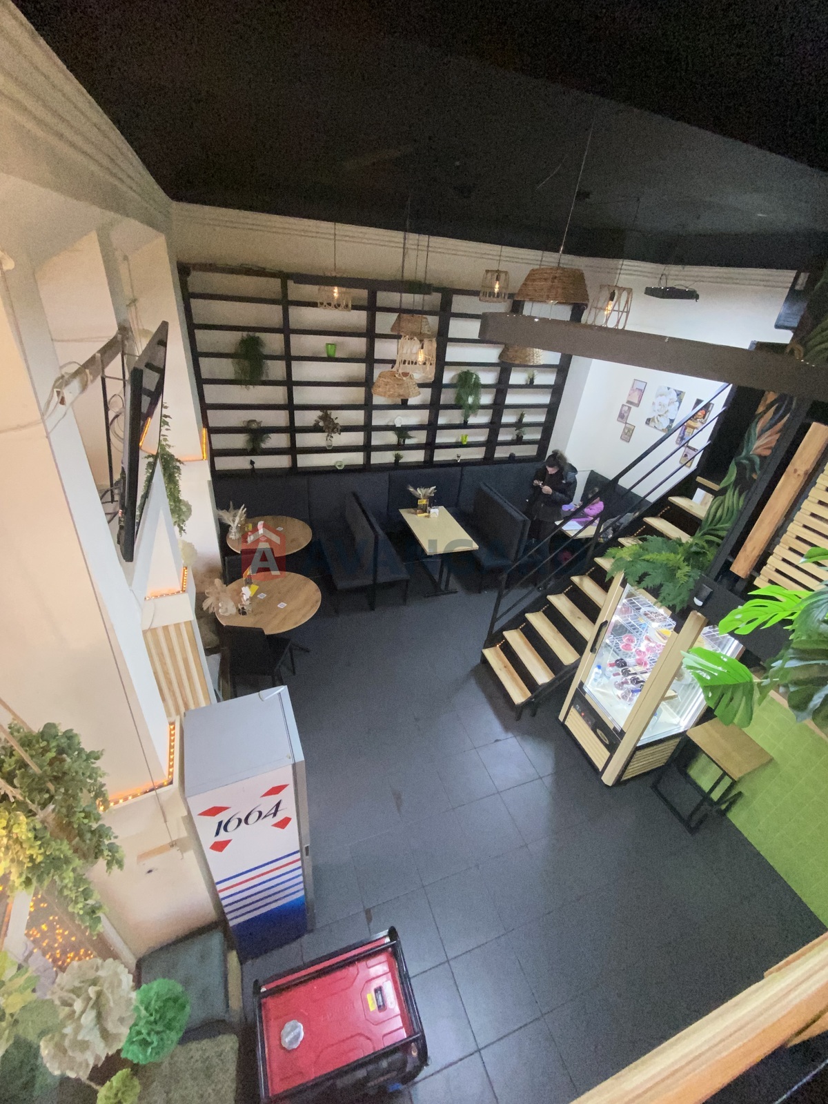 ����, ���, ��������, 62 ��.�. ���� 4