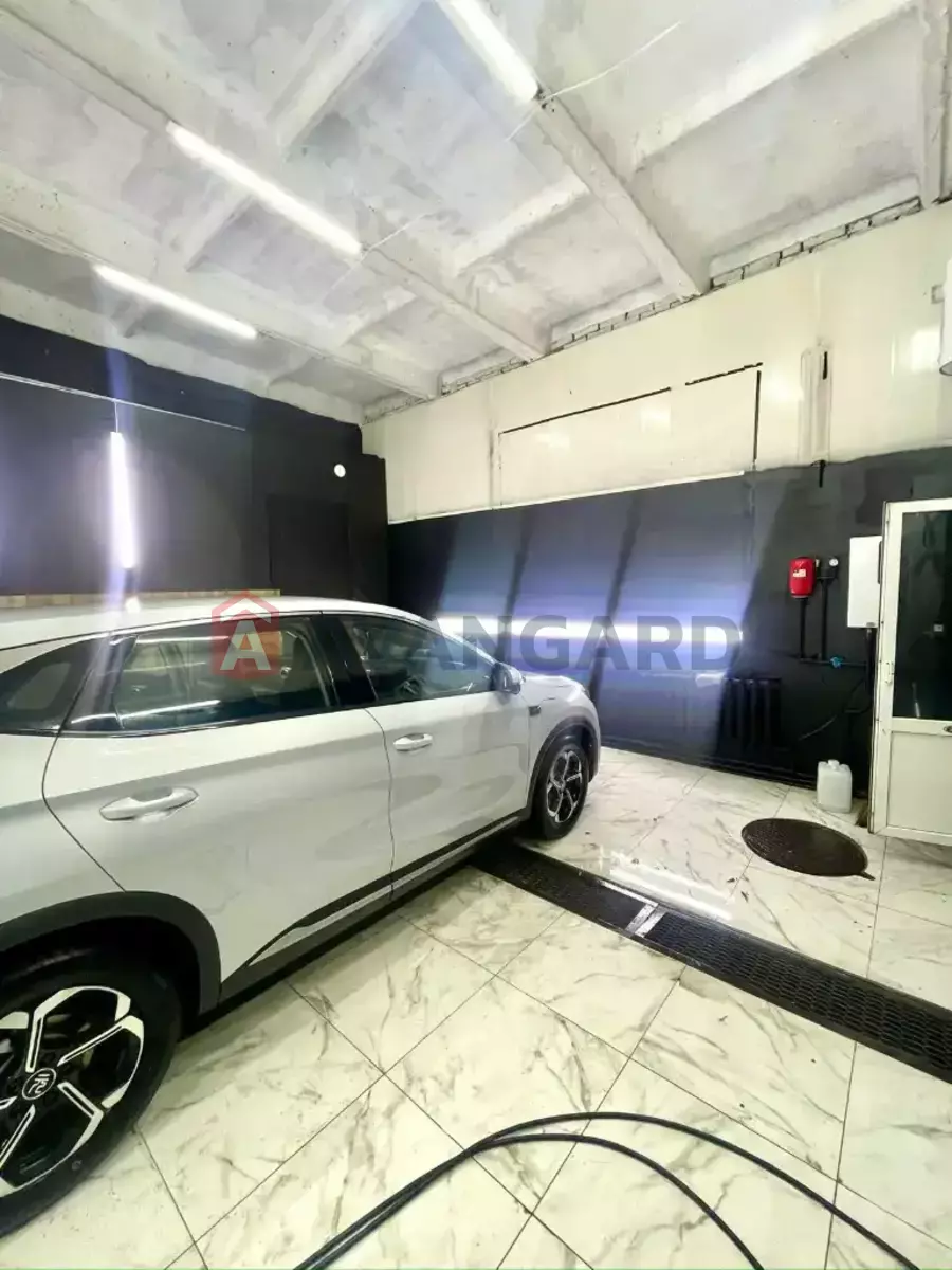 ����� �����, 50 ��.�. ���� 8