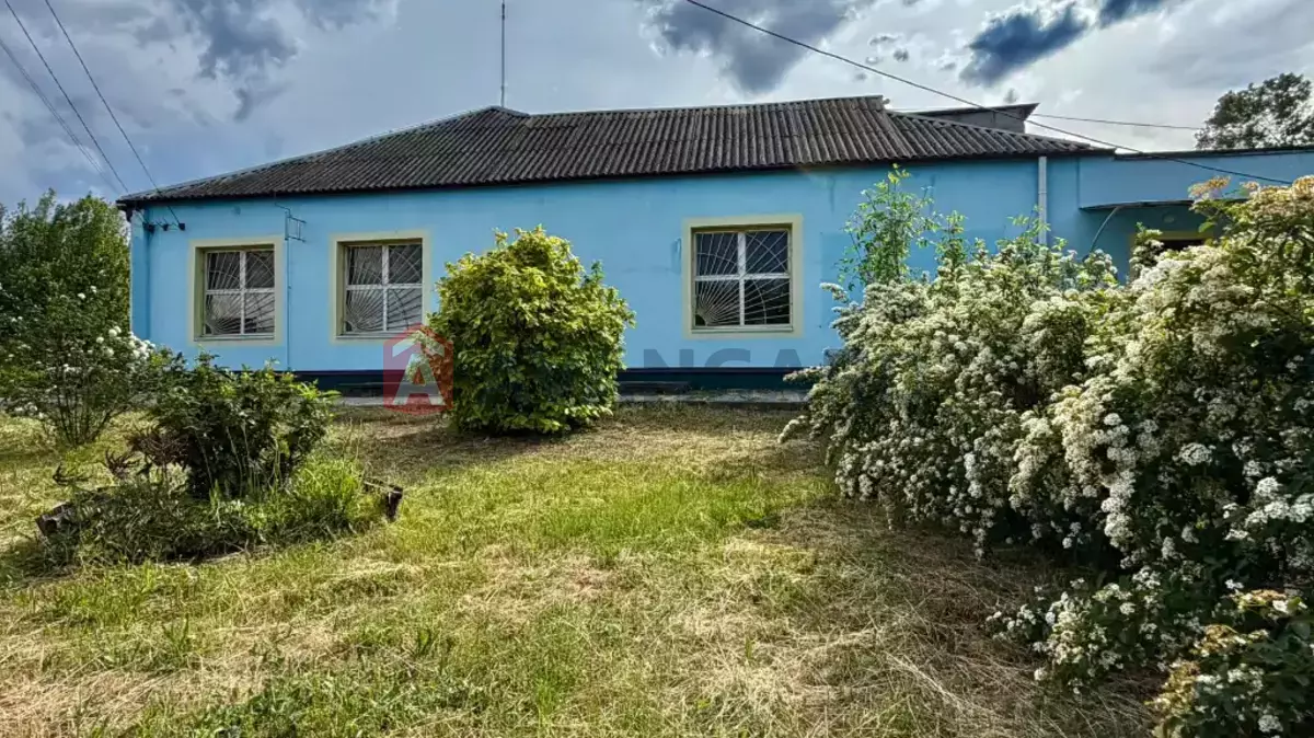 ���������� �����, 164 ��.�. ���� 1