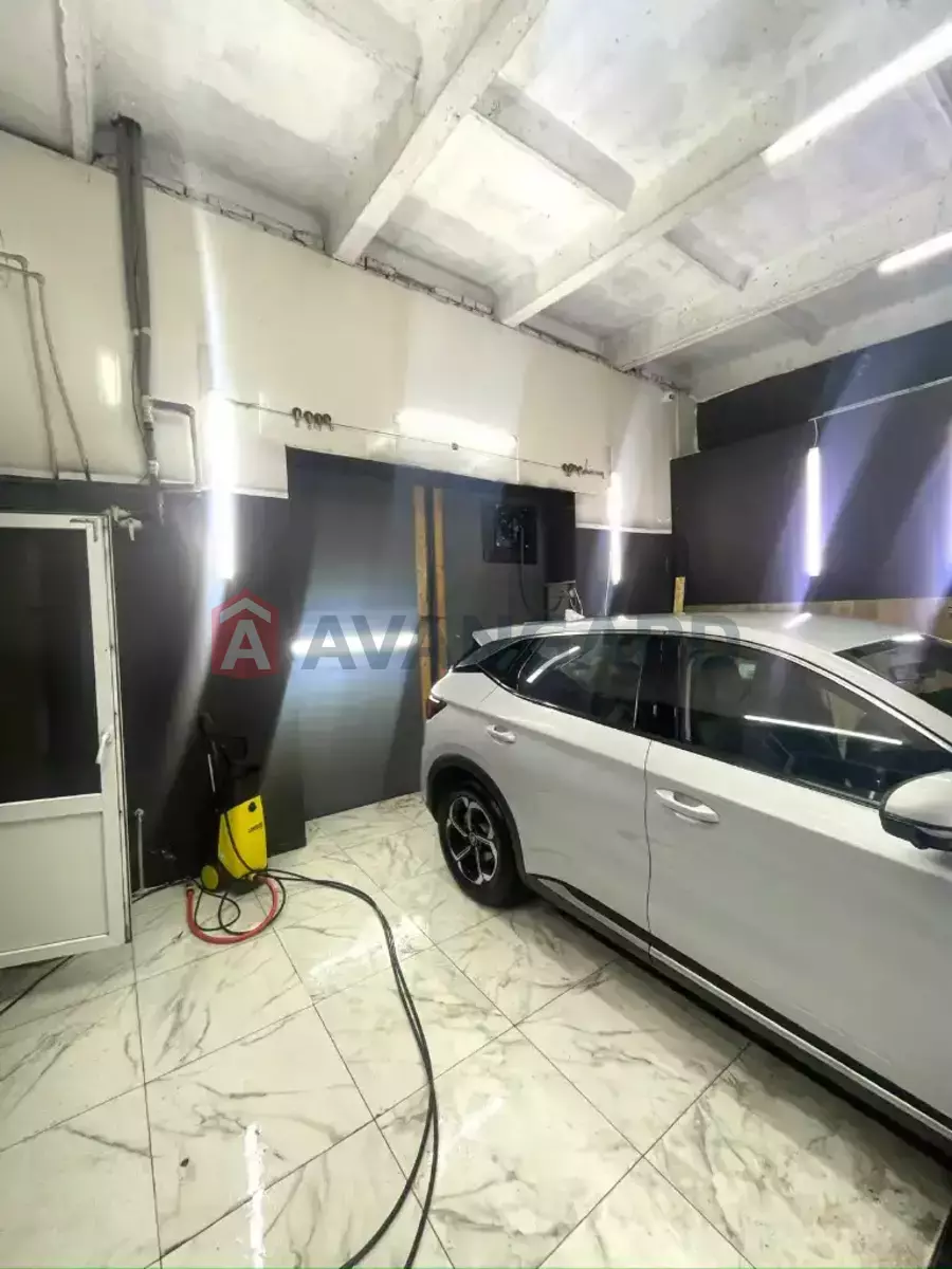 ����� �����, 50 ��.�. ���� 1