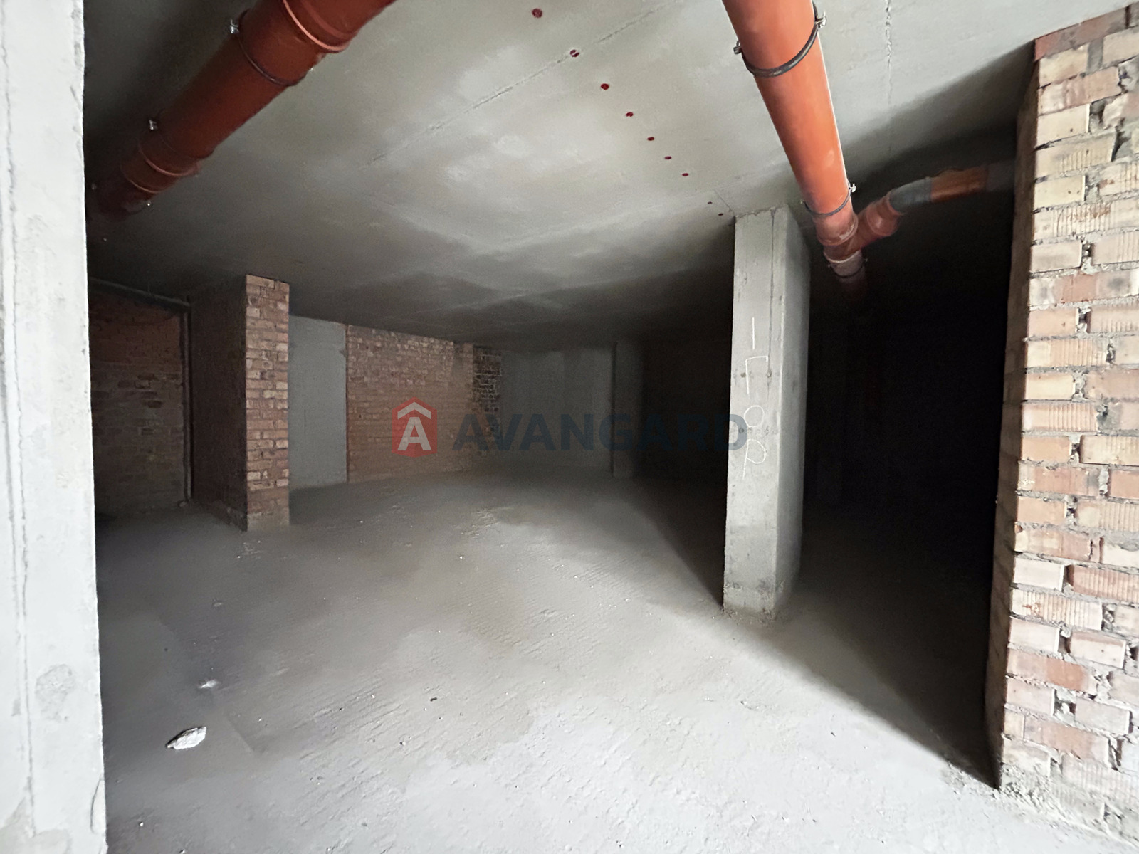 ���������� �����, ����, ���, ��������, ����� ������, 146 ��.�. ���� 11