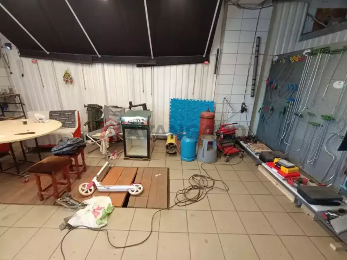 ����� �����, 80 ��.�. ���� 7