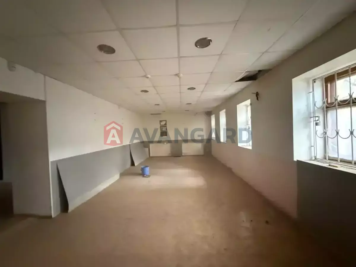 �������� �������, 131 ��.�. ���� 13