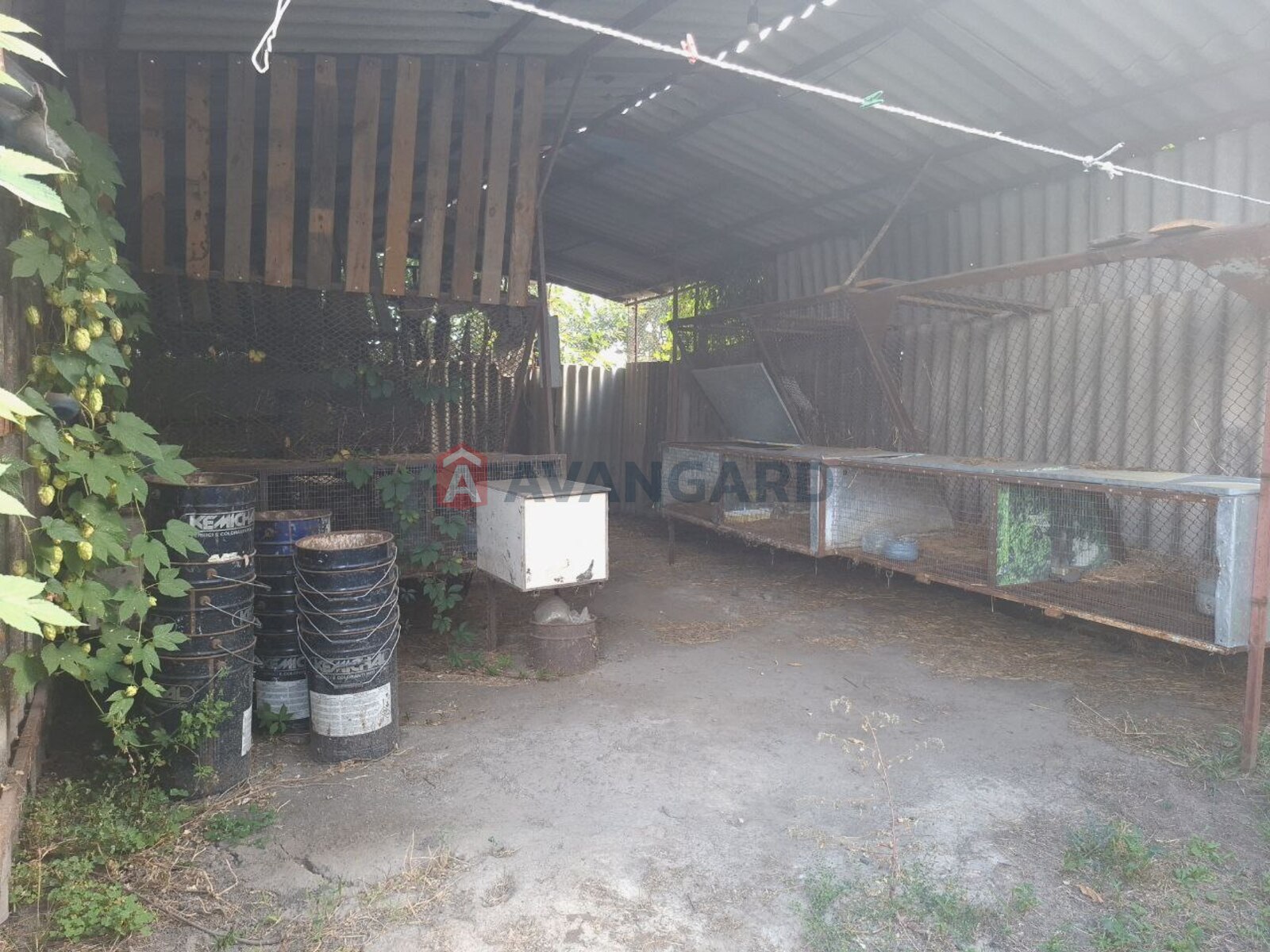 ���������� �����, ����� ������, 335 ��.�. ���� 18