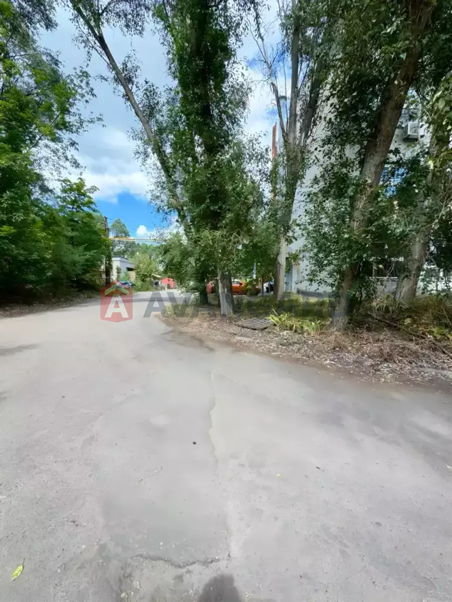���������� �����, 106 ��.�. ���� 29