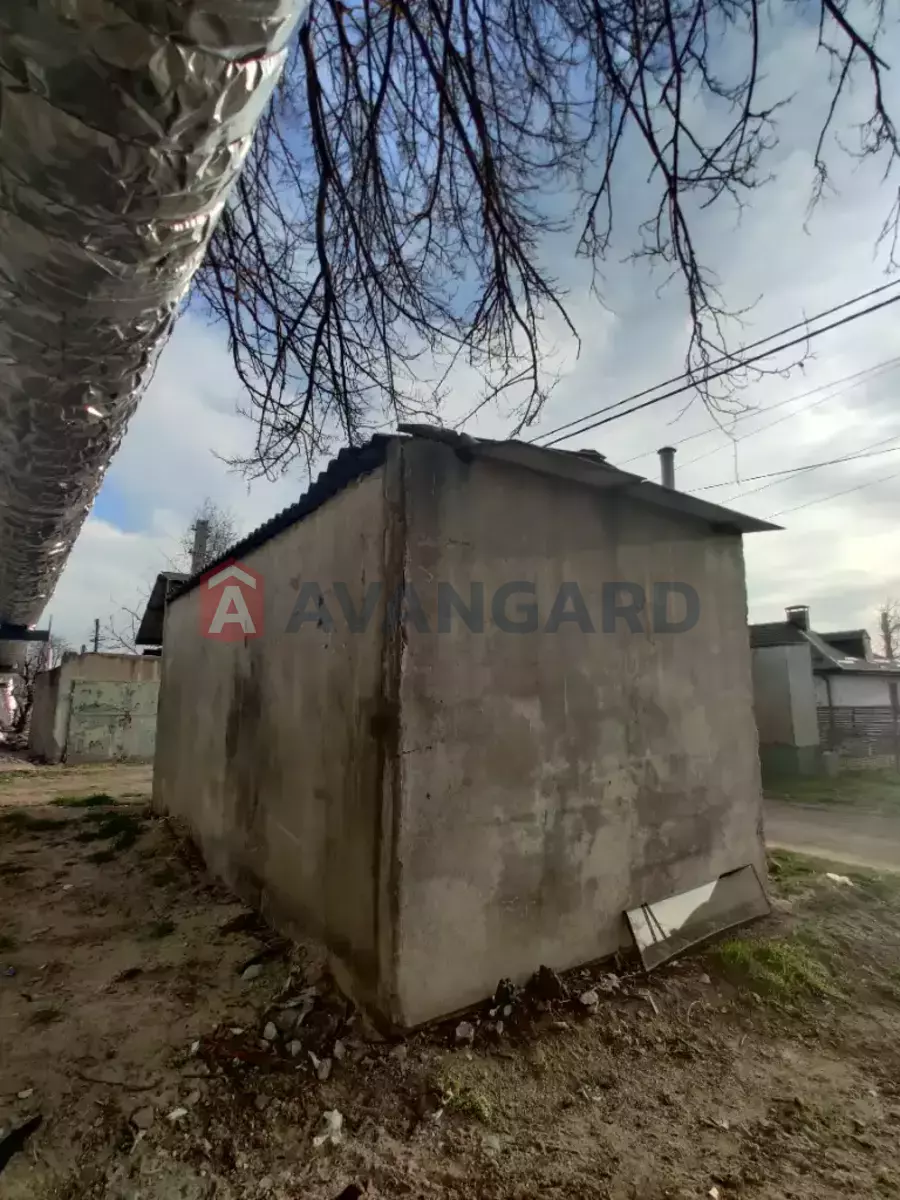 ���������� �����, 18 ��.�. ���� 5