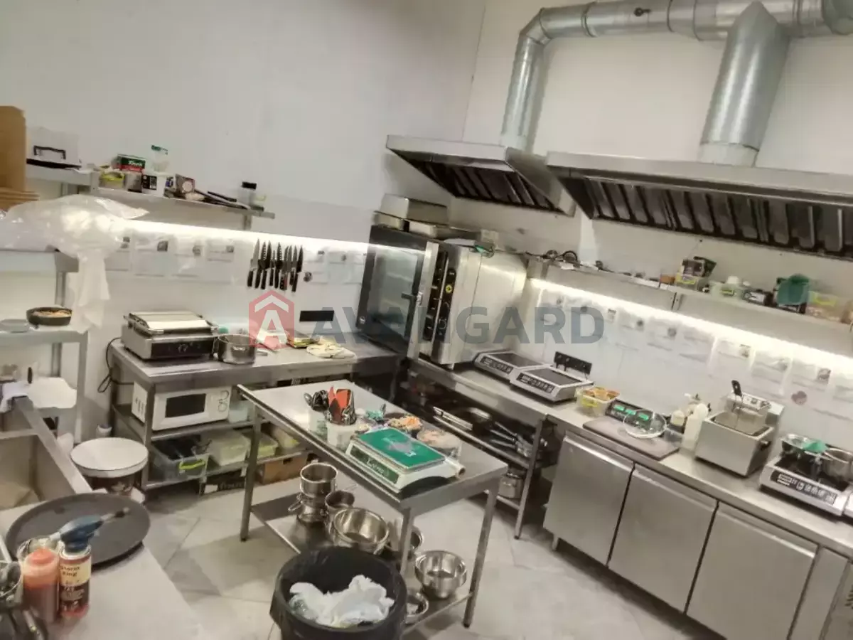 ����, ���, ��������, 160 ��.�. ���� 11