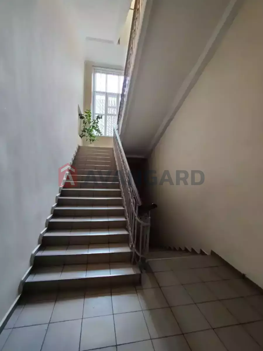 ����, ���, ��������, 12 ��.�. ���� 25