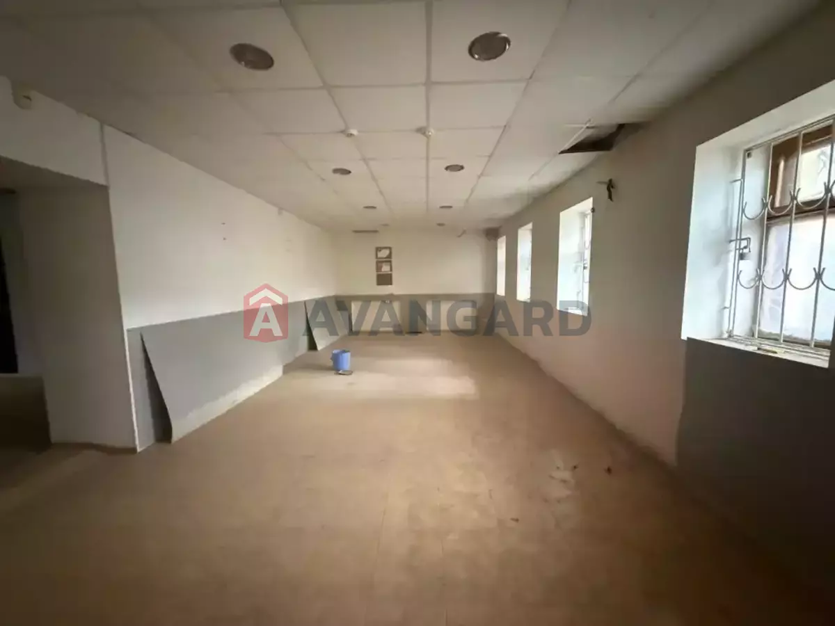 �������� �������, 131 ��.�. ���� 12