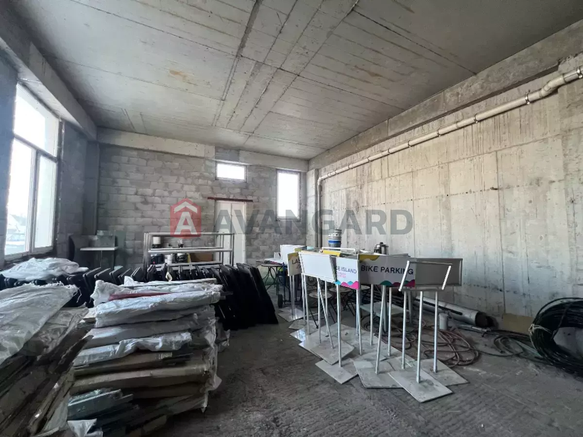 ���������� �����, 1200 ��.�. ���� 12