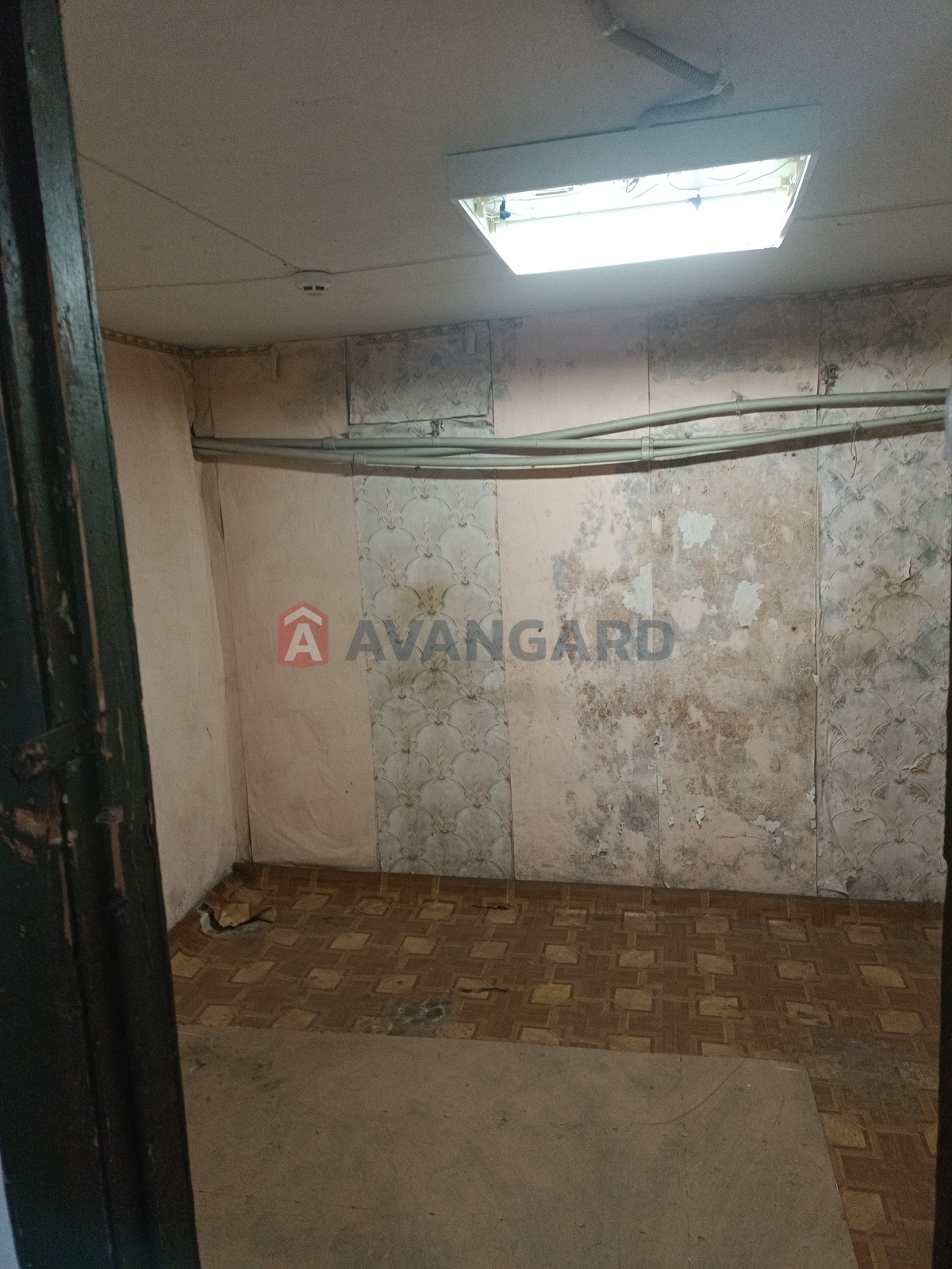 ���������� �����, ����, ���, ��������, ����� ������, 160 ��.�. ���� 4