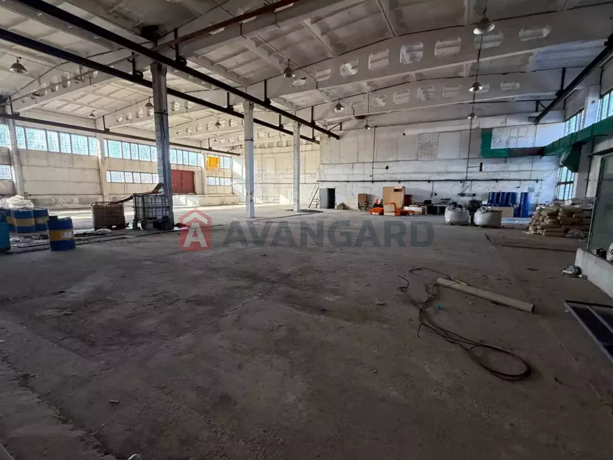 ���������� �����, 3205 ��.�. ���� 12