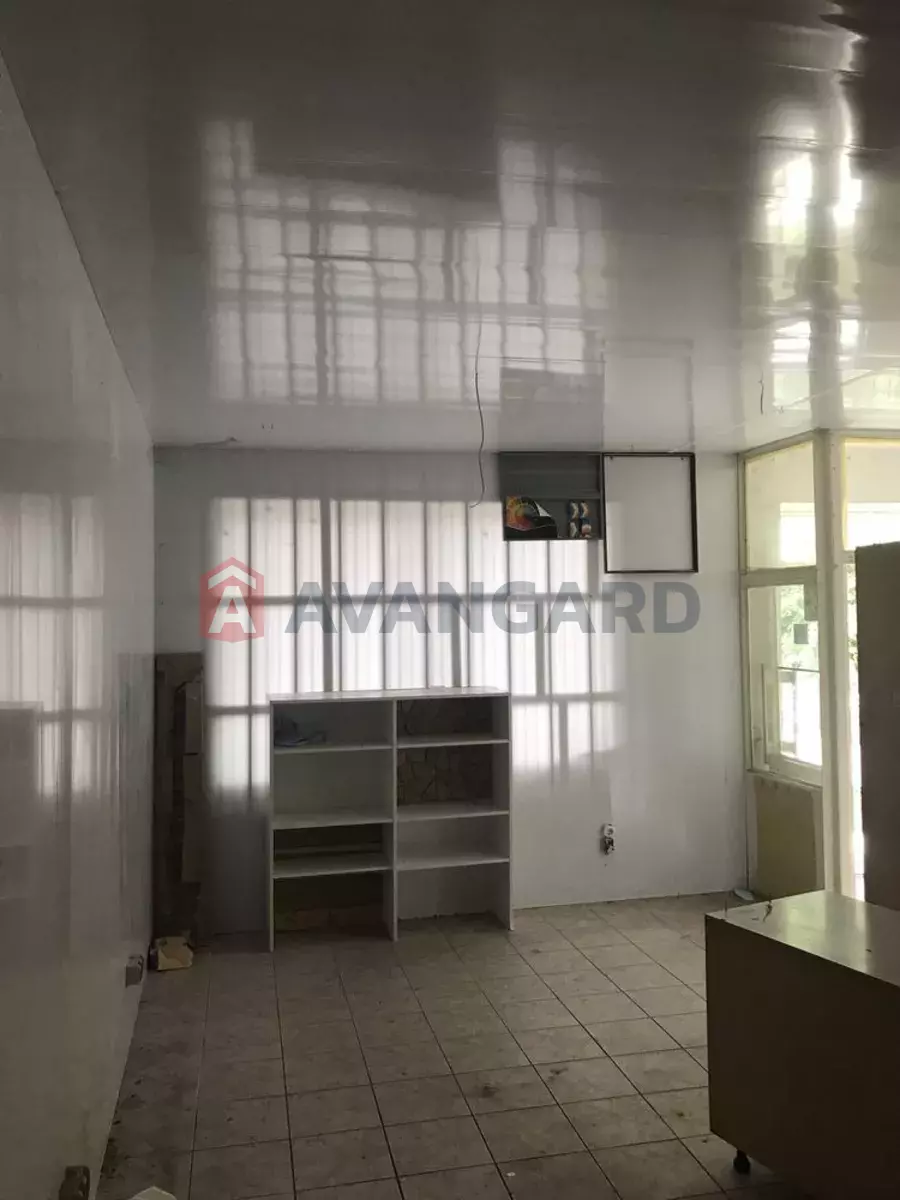 �������� �������, 51 ��.�. ���� 2