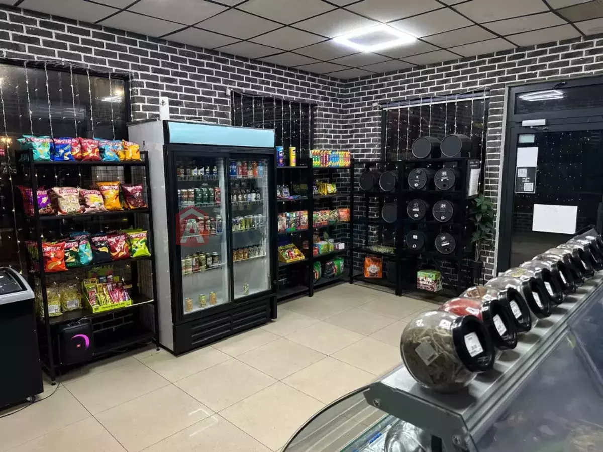 ���������� �����, 38 ��.�. ���� 3