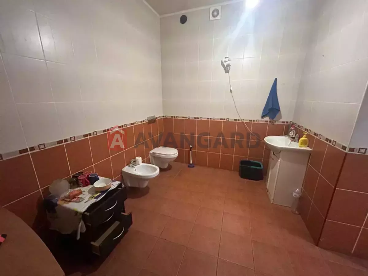 �������� �������, 79 ��.�. ���� 3