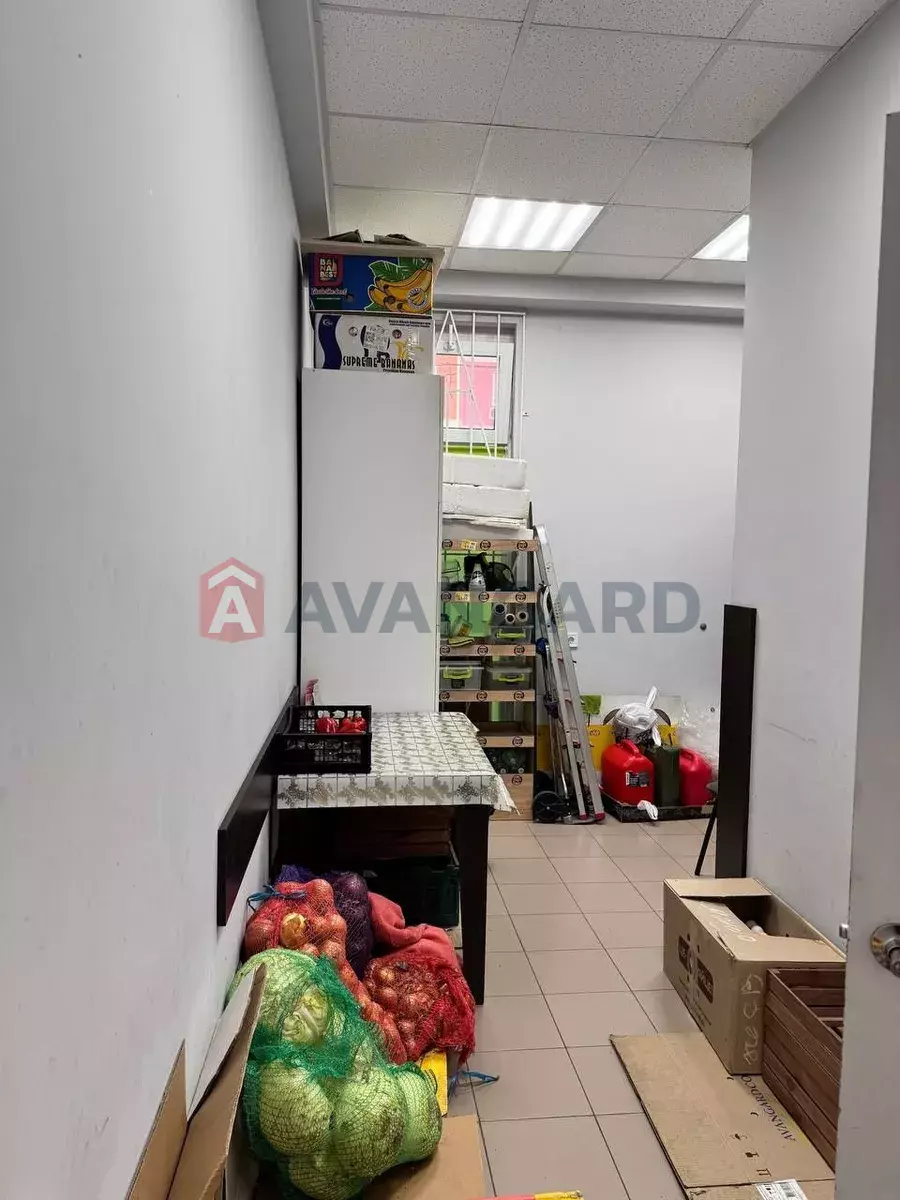 ���������� �����, 84 ��.�. ���� 4