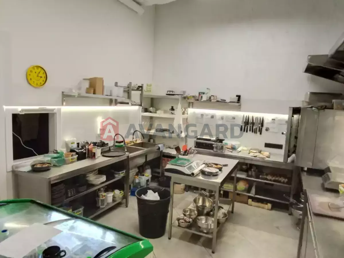 ����, ���, ��������, 160 ��.�. ���� 8