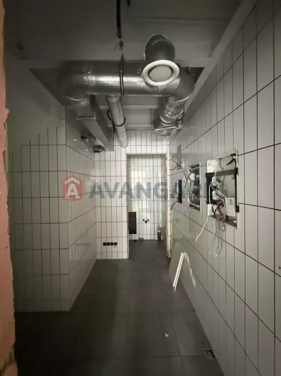 �������� �������, 210 ��.�. ���� 14