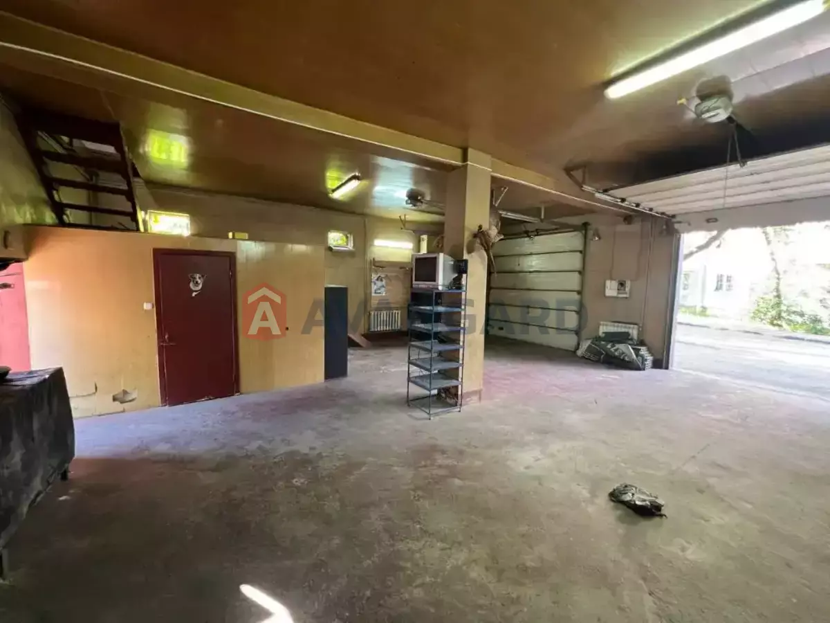 ����� ������, 146 ��.�. ���� 1