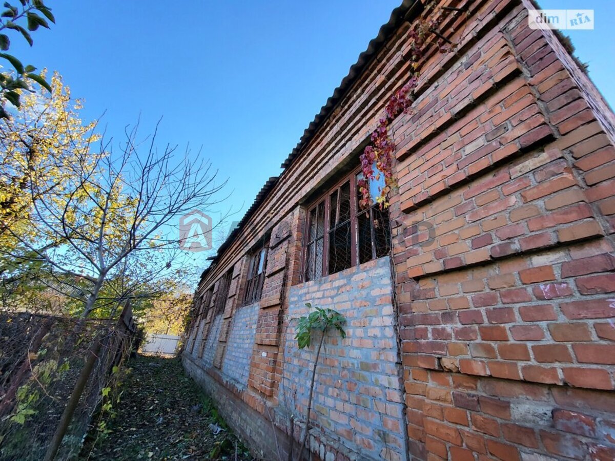 ���������� �����, 600 ��.�. ���� 16