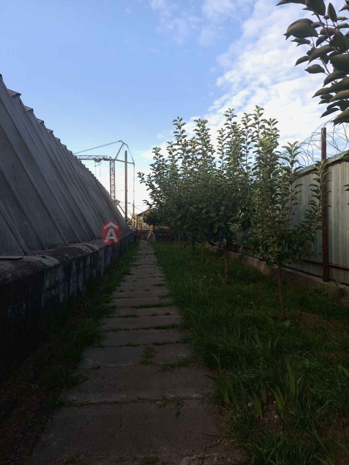 ���������� �����, ����� ������, 335 ��.�. ���� 16