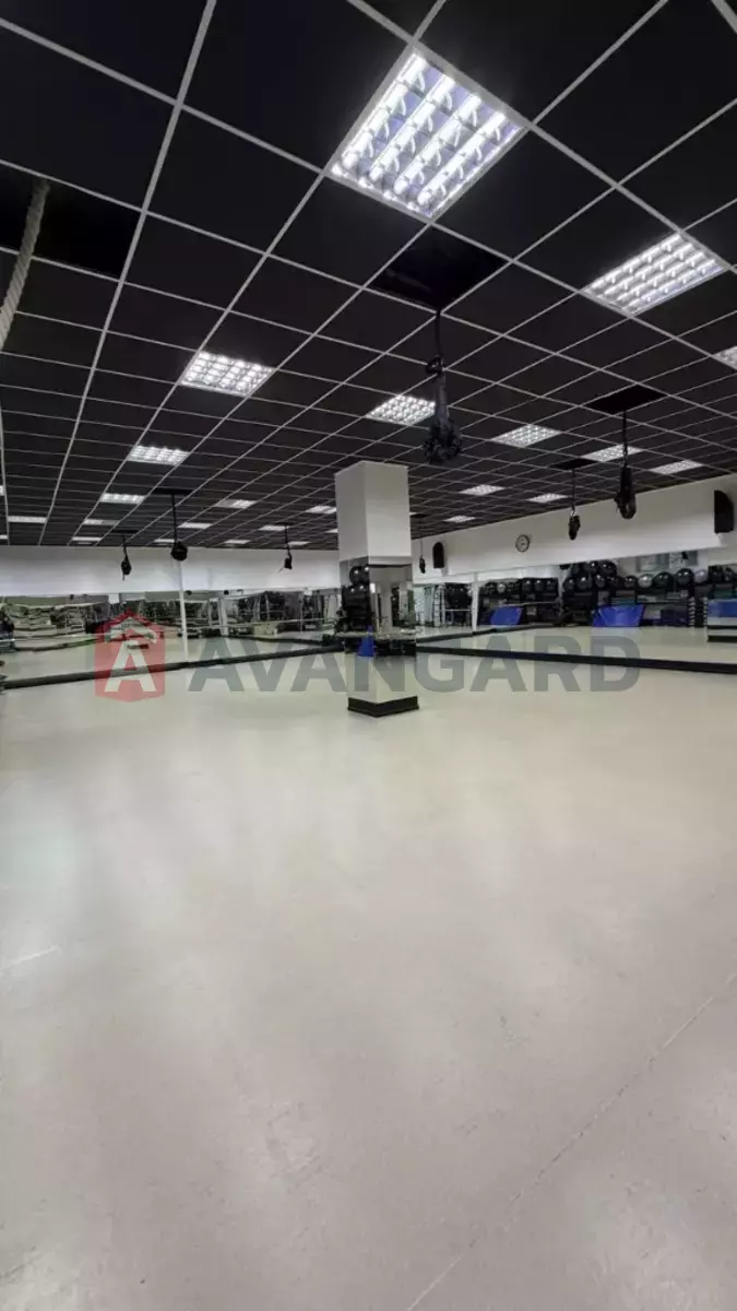 ����, ���, ��������, 415 ��.�. ���� 5