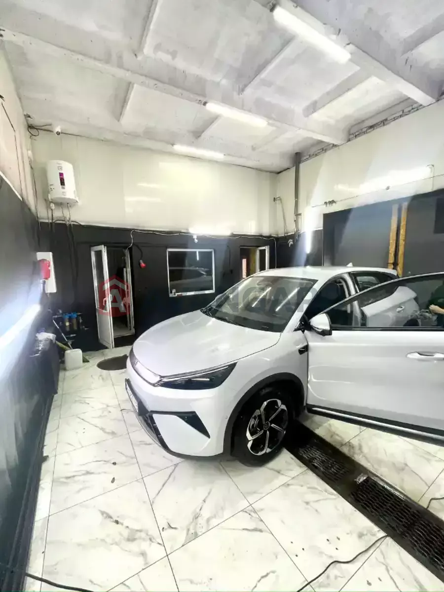 ����� �����, 50 ��.�. ���� 7