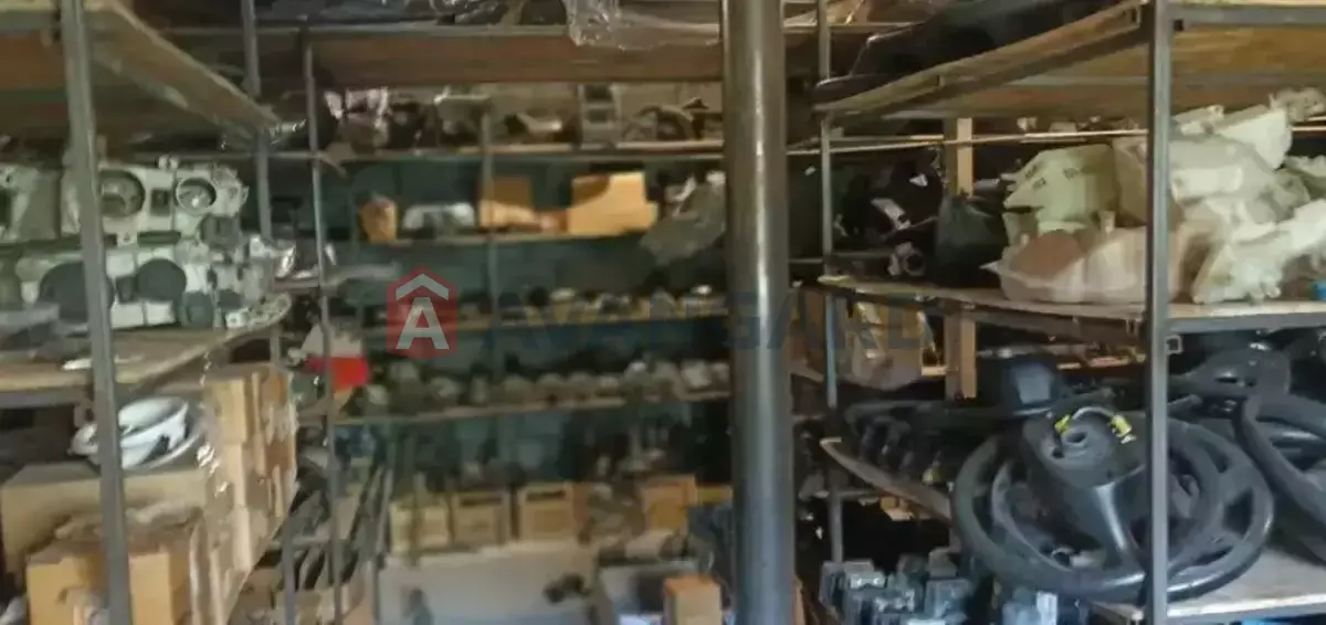 ����� �����, 500 ��.�. ���� 3