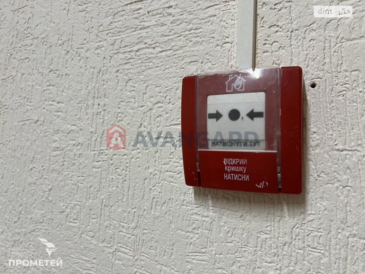 ���������� �����, 245 ��.�. ���� 16