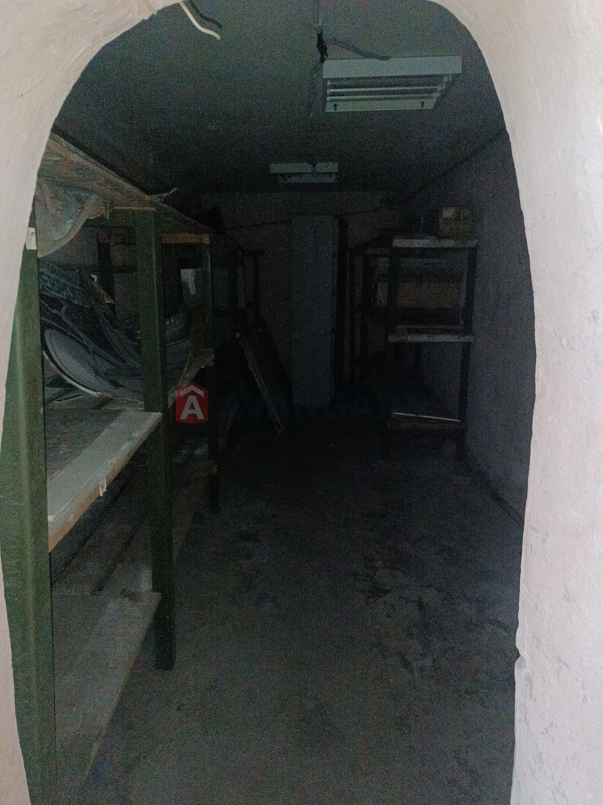 ���������� �����, ����, ���, ��������, ����� ������, 160 ��.�. ���� 2