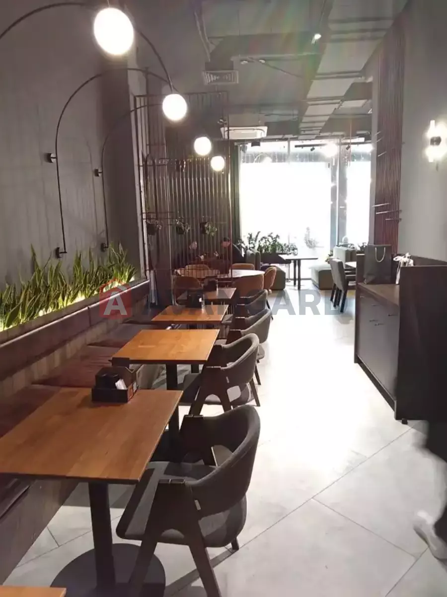 ����, ���, ��������, 160 ��.�. ���� 18